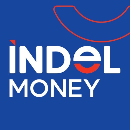 Indel Money