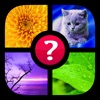 Guess the Word! ~ Pics & Words - iPhoneアプリ