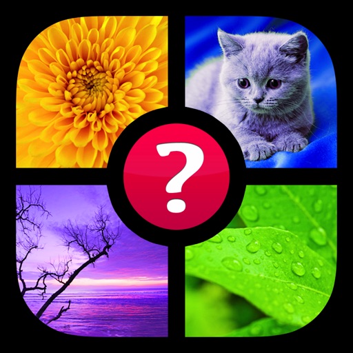 Guess the Word! ~ Pics & Words iOS App