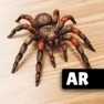 Get ARSpiders.com: Spider Prank for iOS, iPhone, iPad Aso Report