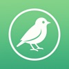 Bird Identifier AI: BirdSnap icon