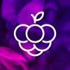 Amora icon