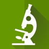 Plant Histology HD icon