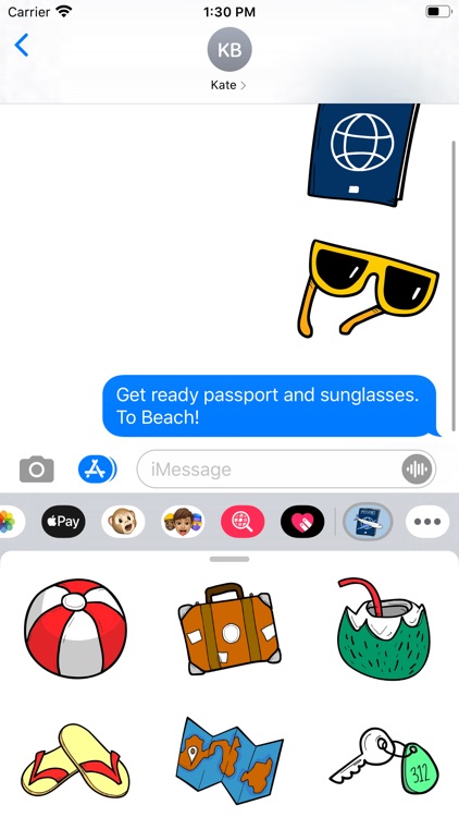 Travel Passport Stickers