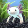 My Axolotl Aquarium icon