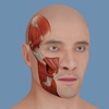 VOKA 3D Human Anatomy AR Atlas icon