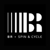 BR Spin & Cycle icon