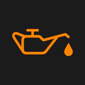 Service Interval Display