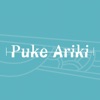 Puke Ariki Libraries icon