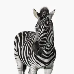 Investec Private Client app icon