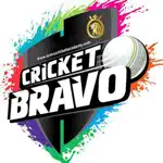 Bravo Cricket Academy App Support