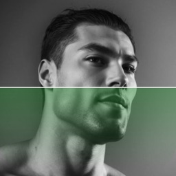 Looks max: face rating, mewing