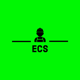 ECS HS&E Mock Test 2024