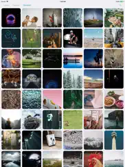 wallpapp - perfect wallpapers ipad resimleri 4