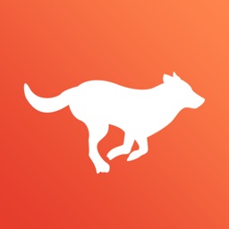 Run For Fun - Screen Time