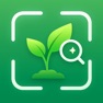 Get Plant Identifier & Flower Id for iOS, iPhone, iPad Aso Report