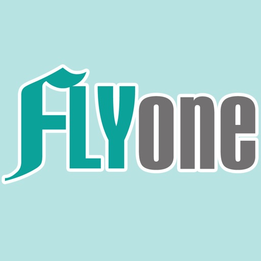 FLYone泓愷科技 行車導航品牌