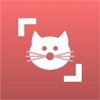 Cat Scanner icon