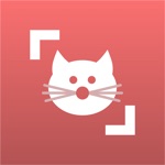 Download Cat Scanner app