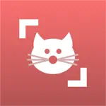 Cat Scanner App Cancel