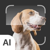 Dog Identifier: AI Scanner