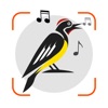 Bird Sounds Identifier Call ID icon