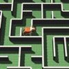 Maze Dog 3D icon