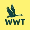WWT Washington icon