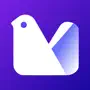 Pigeon Email: Easy & Organize