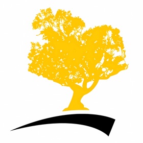 屏幕截图 (2) TPZ