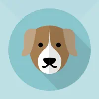 Lost Dog!