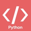 Python Programming Interpreter icon