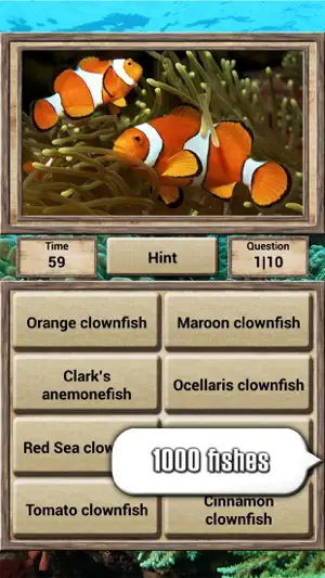 Animal Kingdom - Quiz Game screenshot 4