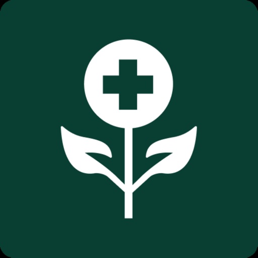 Herbal Remedies Doctor