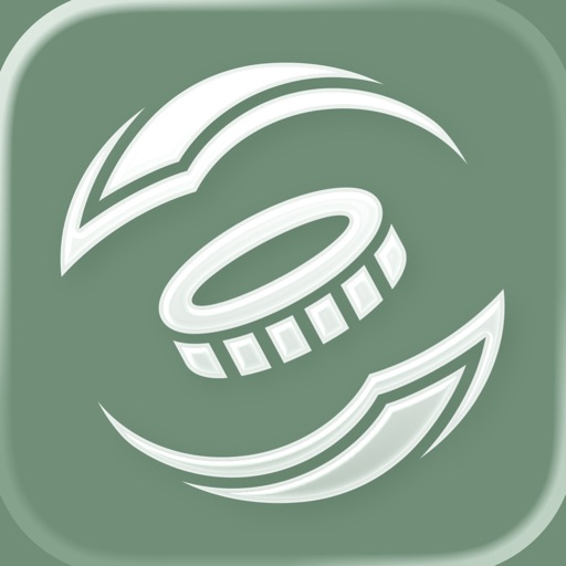 Cash Flow Monthly: Budget