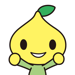 こくみん共済 coop 公式アプリ 