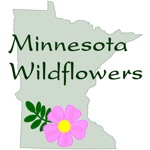 Download Minnesota Wildflowers Info. app