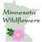 Minnesota Wildflowers Info.