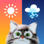 Weather & Live Radar - OpenPet