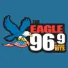 96.9 The Eagle problems & troubleshooting and solutions