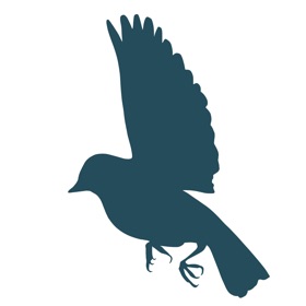 Wyrth: Net Worth Tracker