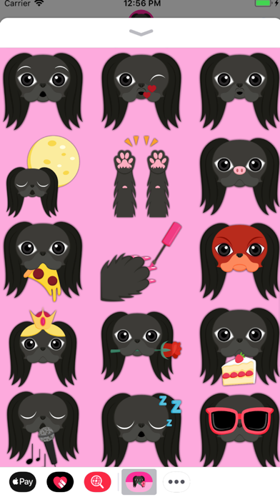 Black Japanese Chin screenshot