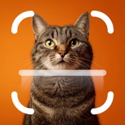 My Cat Breed Identifier