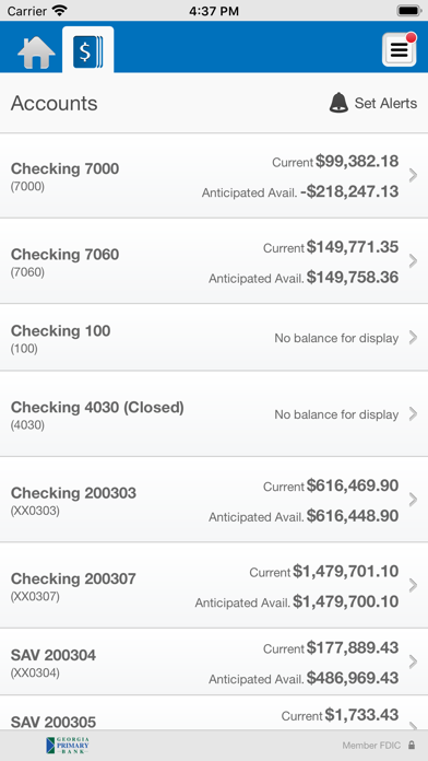Georgia Primary Bank Business Screenshot