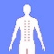 TaoBody Acupoint Massager