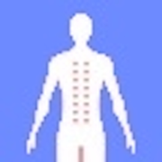 TaoBody Acupoint Massager