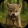 Get The Wolf: Animal Game MMORPG for iOS, iPhone, iPad Aso Report