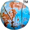 WorldUnification icon