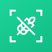 Gluten Free Recipes - Scanner