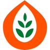 agroma icon